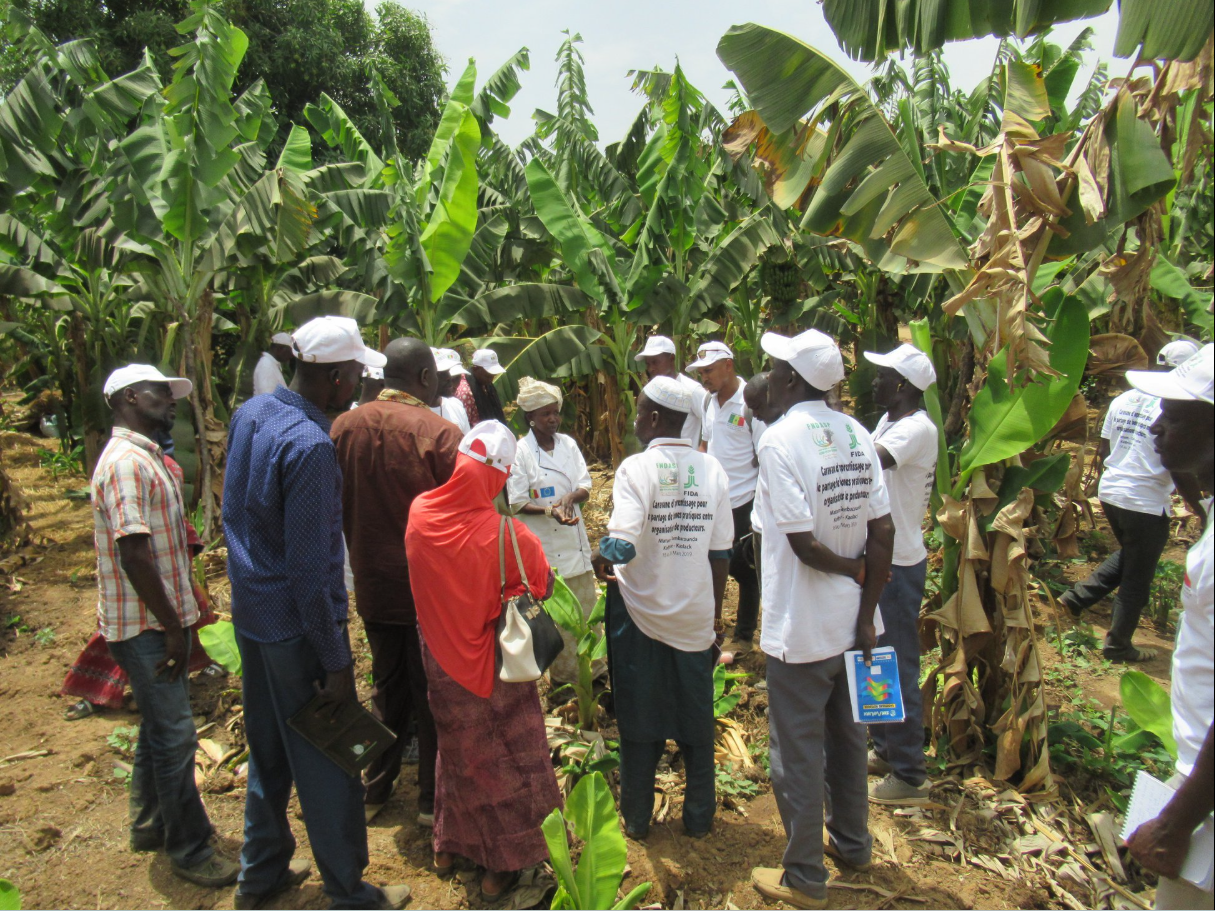 Produits Kukigo